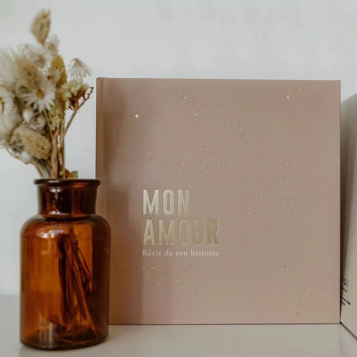 Livre de naissance Céleste Zakuw - Bois de rose