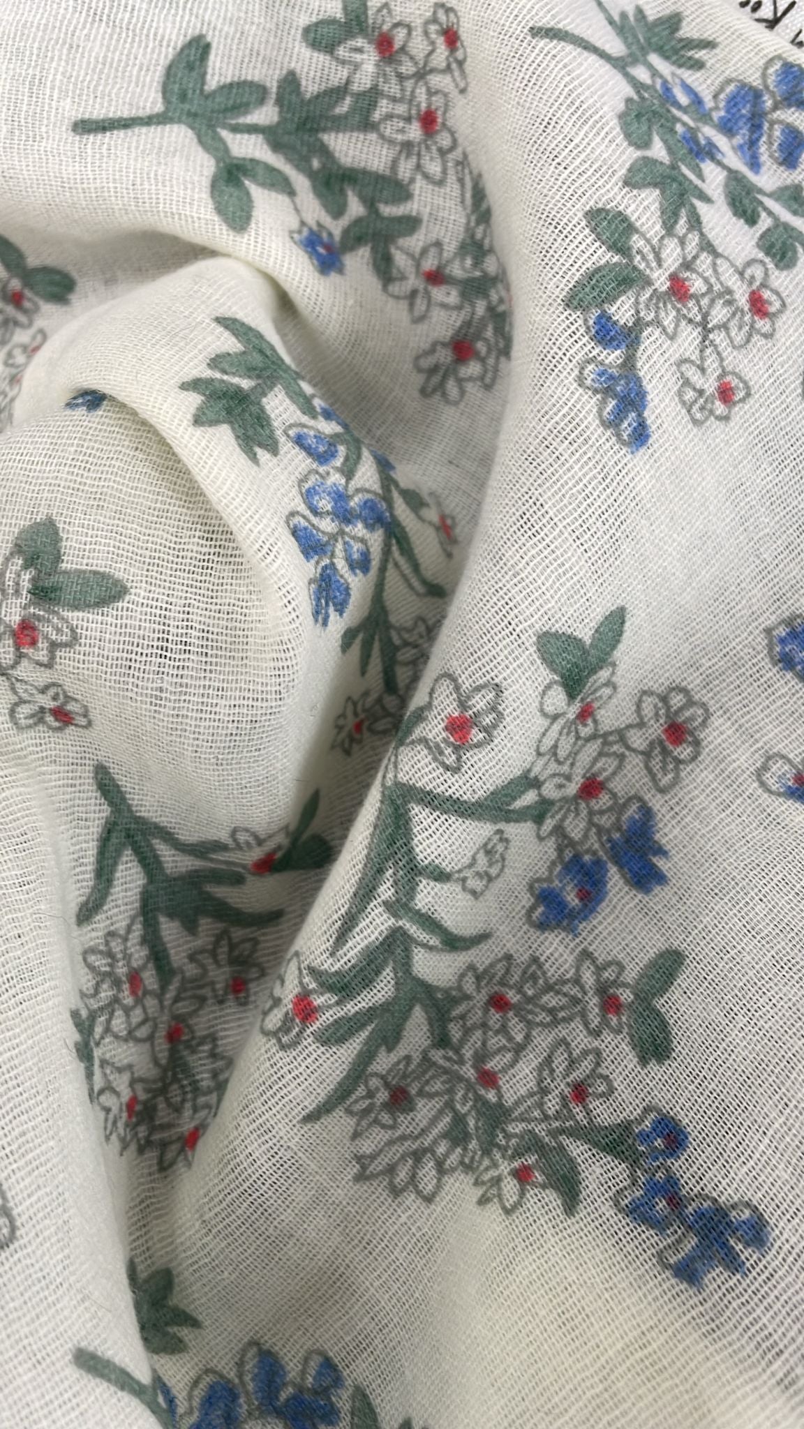 Couverture Myosotis vert