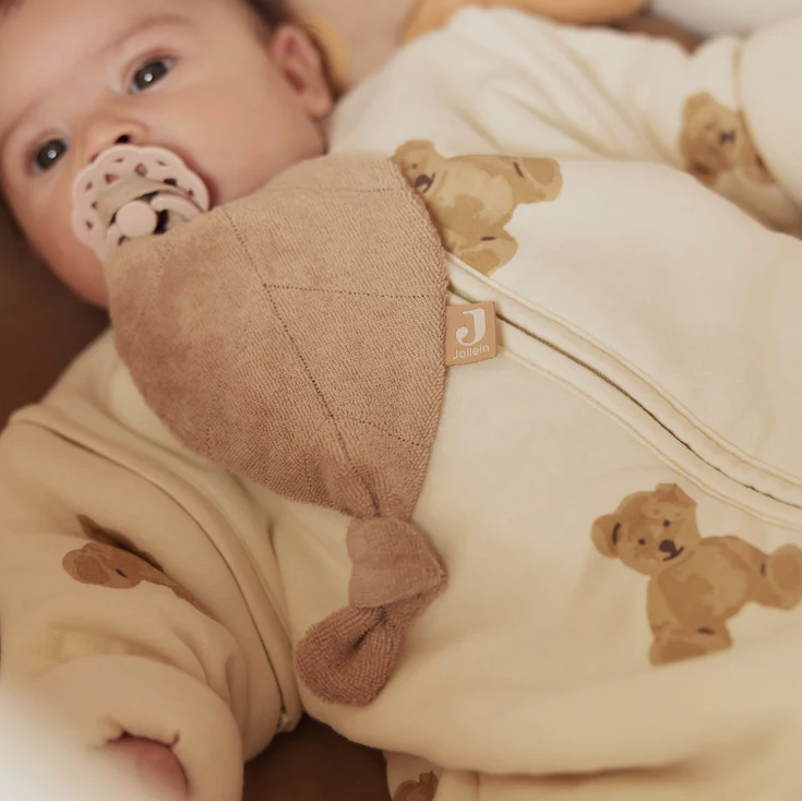 Gigoteuse hiver manches amovible Teddy Bear