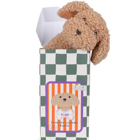 Hochet Lionel le labrador