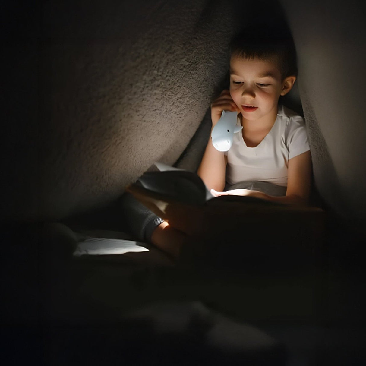 Lampe de poche dauphin