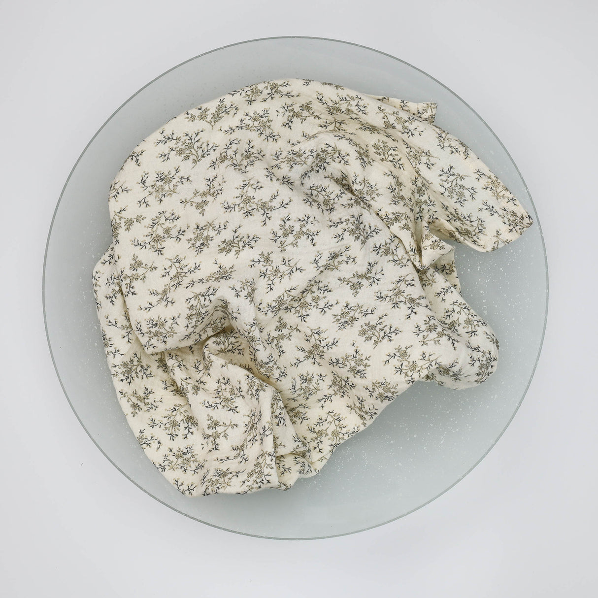 Lange gypsophile