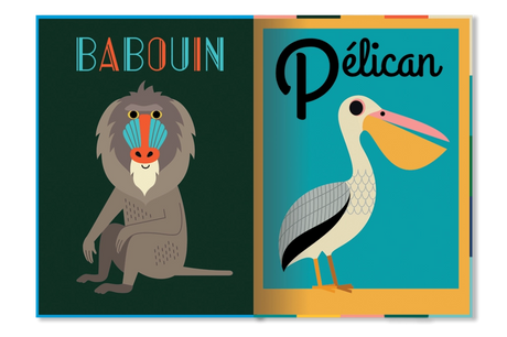 Livre Animaux du monde Marcel et Joaquim