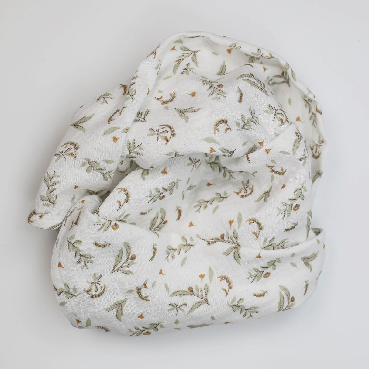 Lange libellule olive