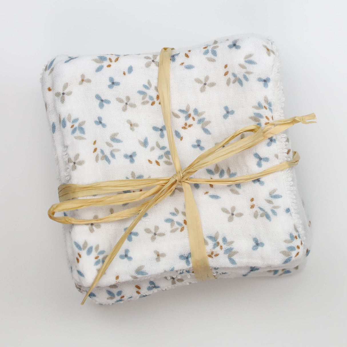 Lingettes ailette bleu