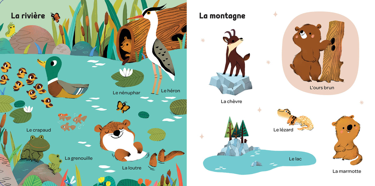 Livre - Mes 100 mots pour découvrir le monde