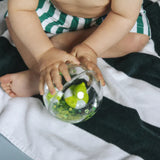 Balle Happy Bubble Grenouille