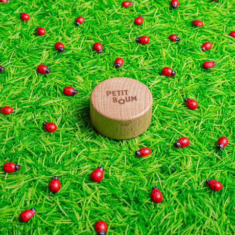 Bouteille sensorielle coccinelle - Petit boum