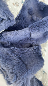 Couverture Myosotis bleu