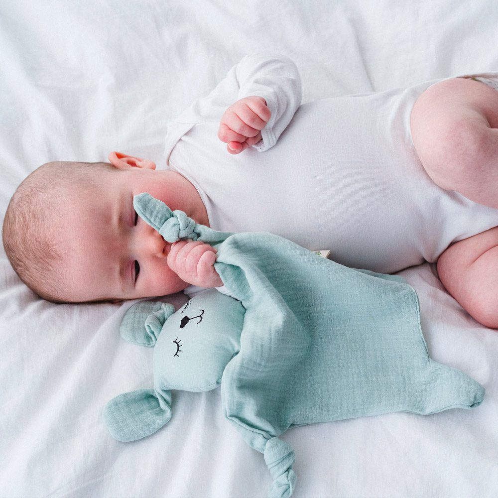 Doudou plat coton bio lapin
