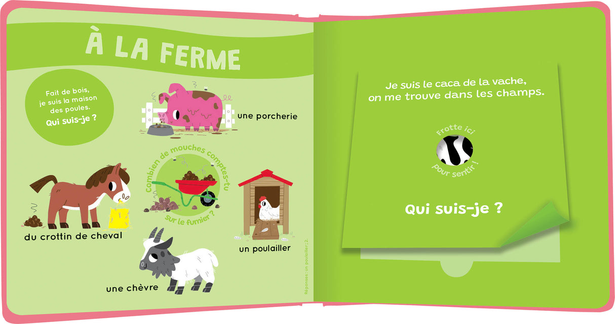 Mon livre des odeurs et des couleurs | Le livre des odeurs qui puent
