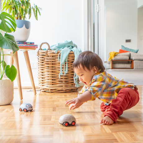 Lot de 2 voitures animaux