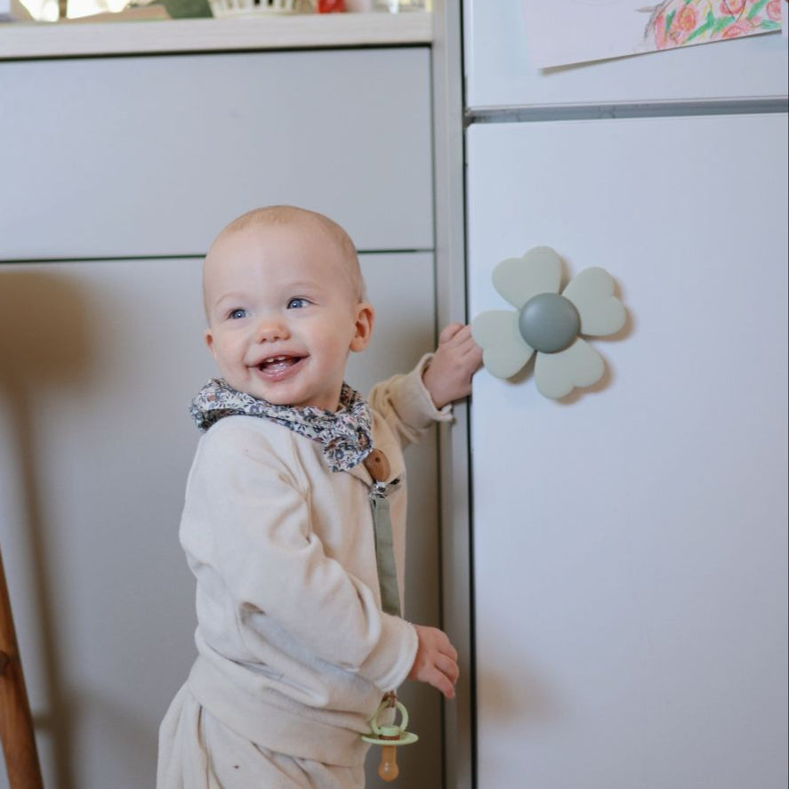 Jouet à ventouse spider fleurs