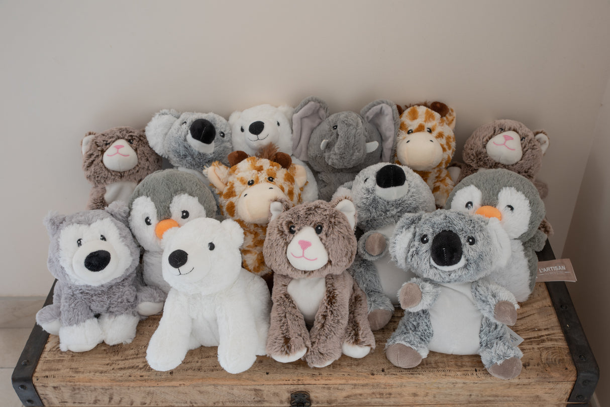 Peluche bouillotte husky