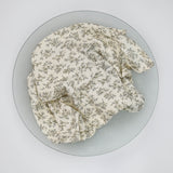 Lange gypsophile